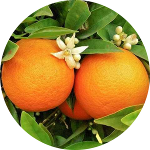 The BONF Natural Ingredients Makeup Orange Peel