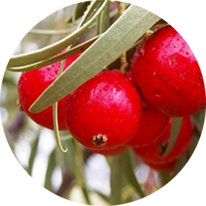 The BONF Natural Ingredients Makeup Quandong